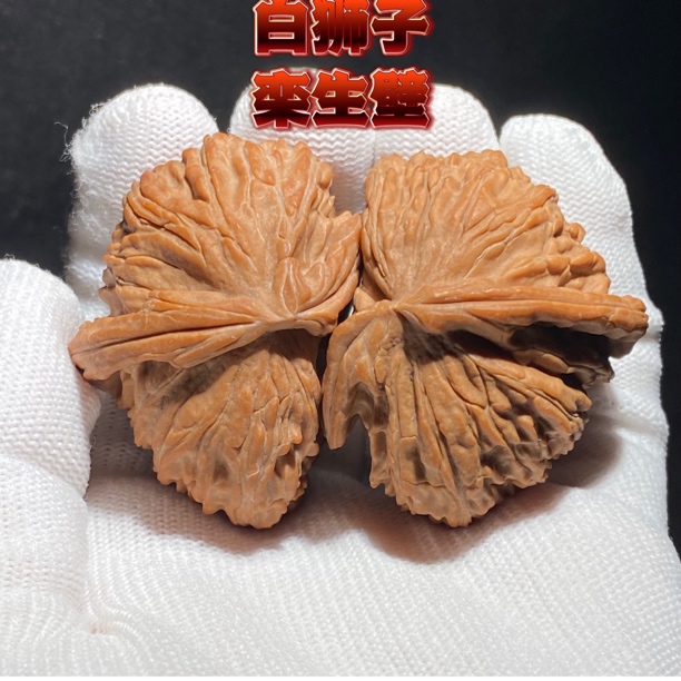 白狮子栾生壁 严丝合缝的天然异形 品相骨质皮色都是A级 推荐款