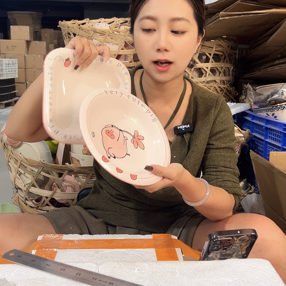 潮州陶瓷工厂微瑕8寸