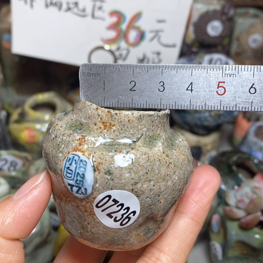 花盆拍3送一个小礼物