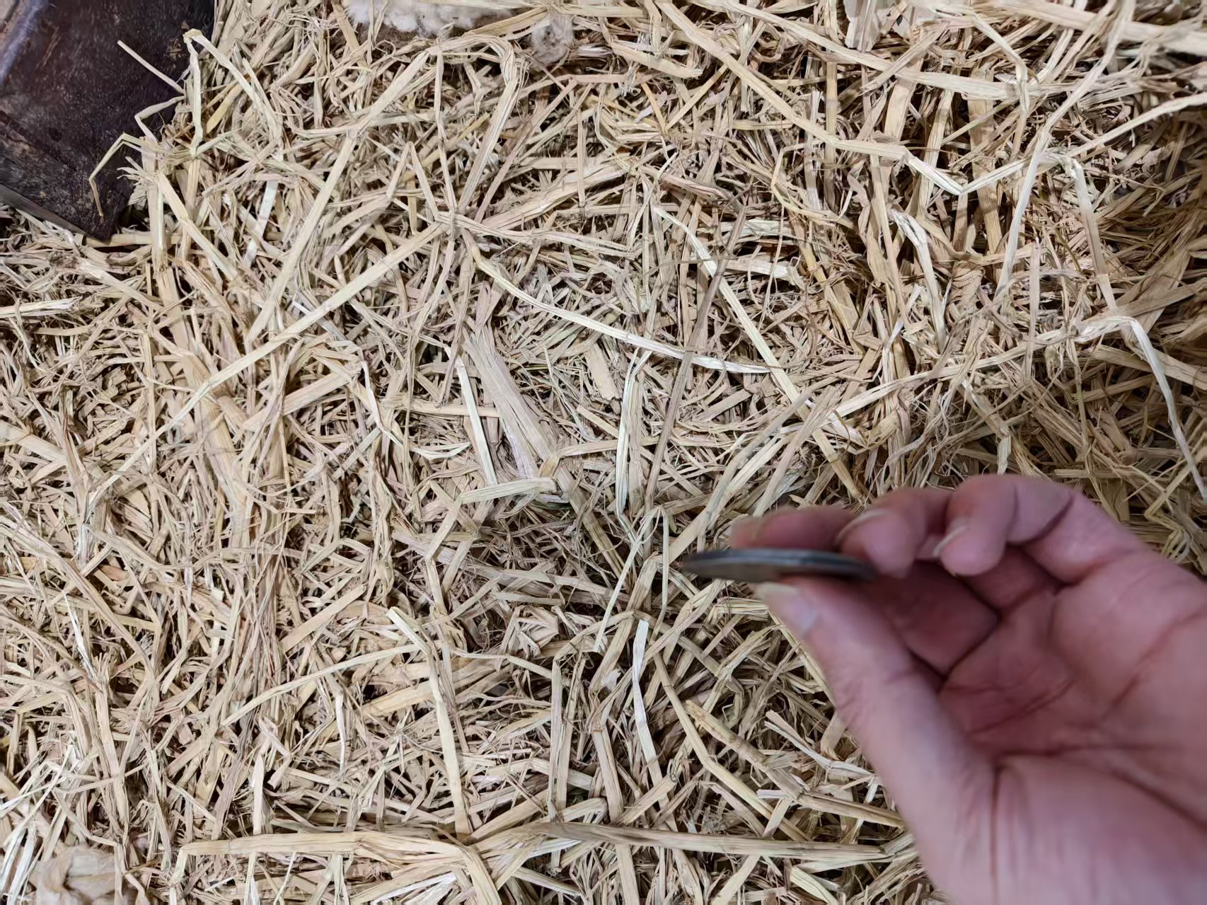 家居饰品123精美摆件非收藏品非文物非古董 现代工艺品摆件