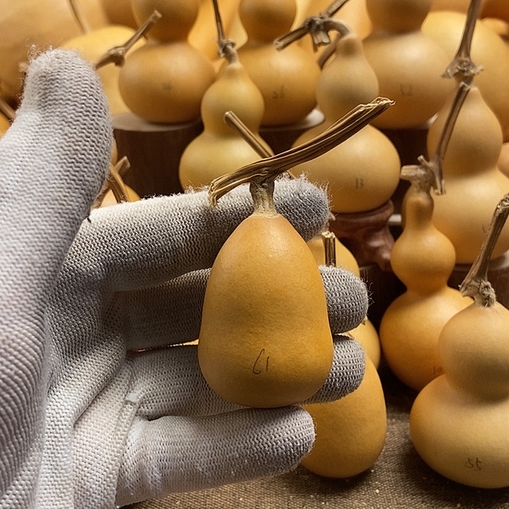 文玩葫芦 完美主义者 慎拍61