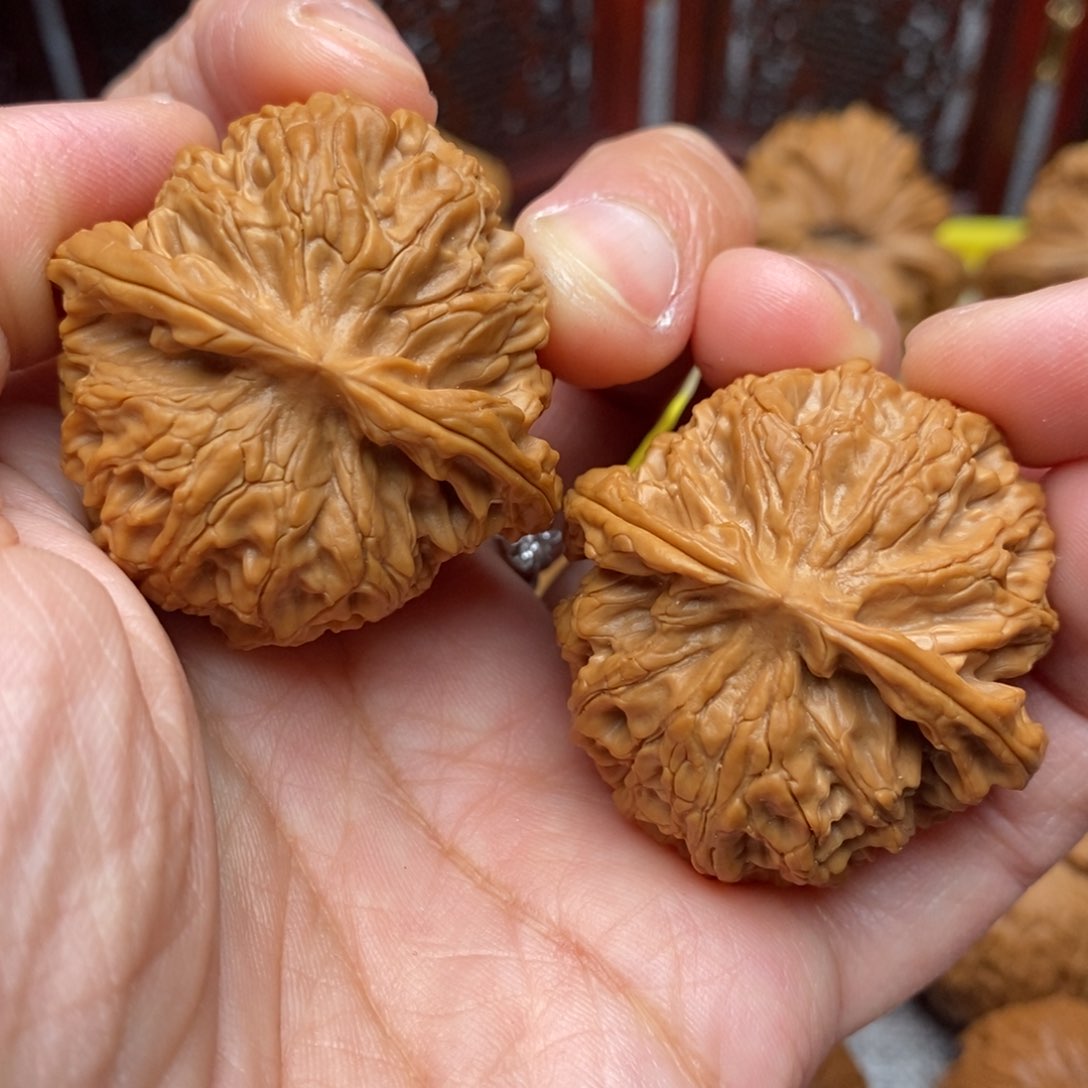 文玩核桃把件全品毕业肉球苹果38+尺