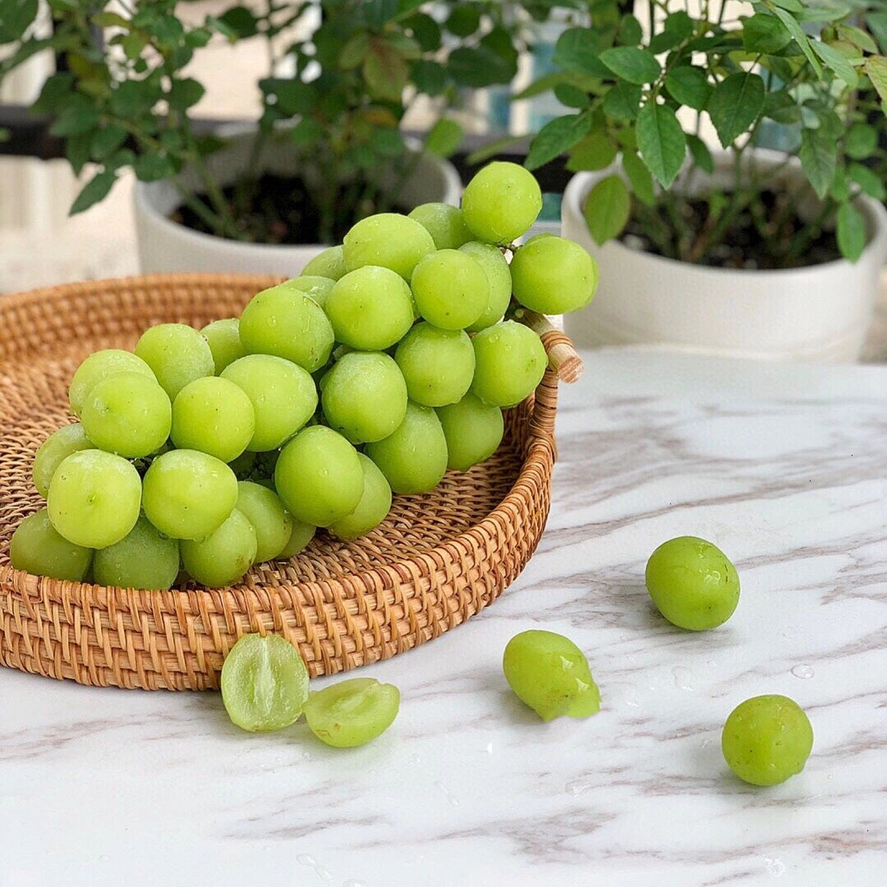 晴王葡萄约1.8斤-2.2斤左右/串