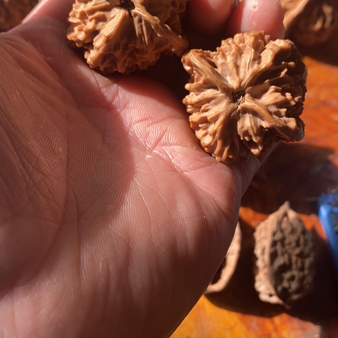 秦岭南北区一座城市