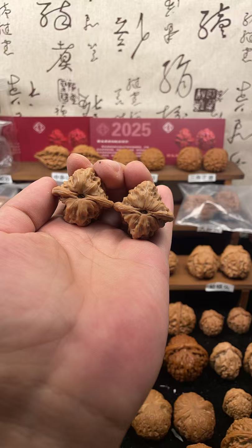 35尺原树白蛇骨 树头对