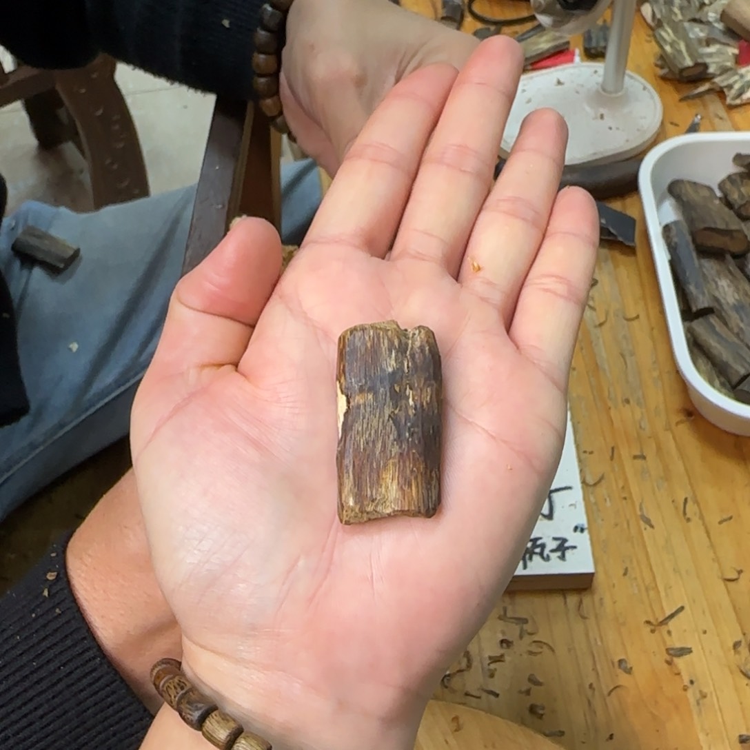 沉香吊坠素牌白奇虫漏孔料