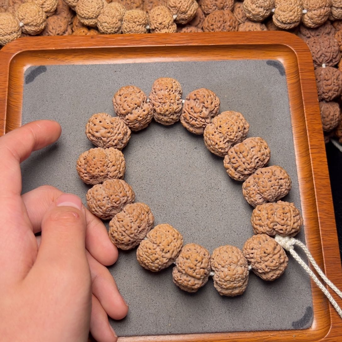 13号尼泊尔大金刚26五星夹板菠萝蜜