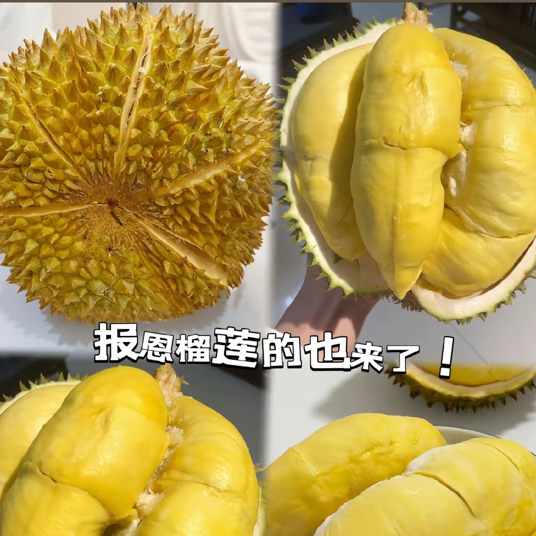 进口泰国新鲜金枕榴莲/一果一拍/按斤称/核小金枕泰国
