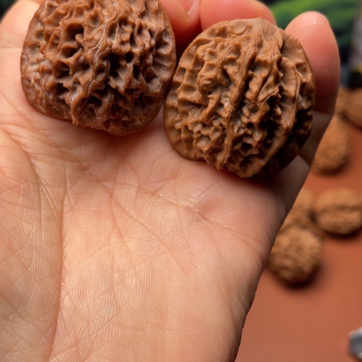 核桃秦核等人的故事也在这里