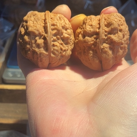 文玩核桃把件十八包带彩40