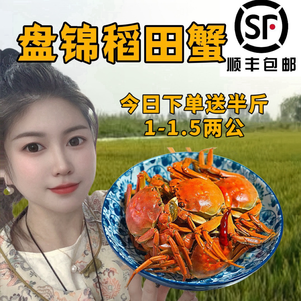 盘锦河蟹【活蟹】1.6-1.9两全母3斤（18只左右）送1斤1-1.5两公