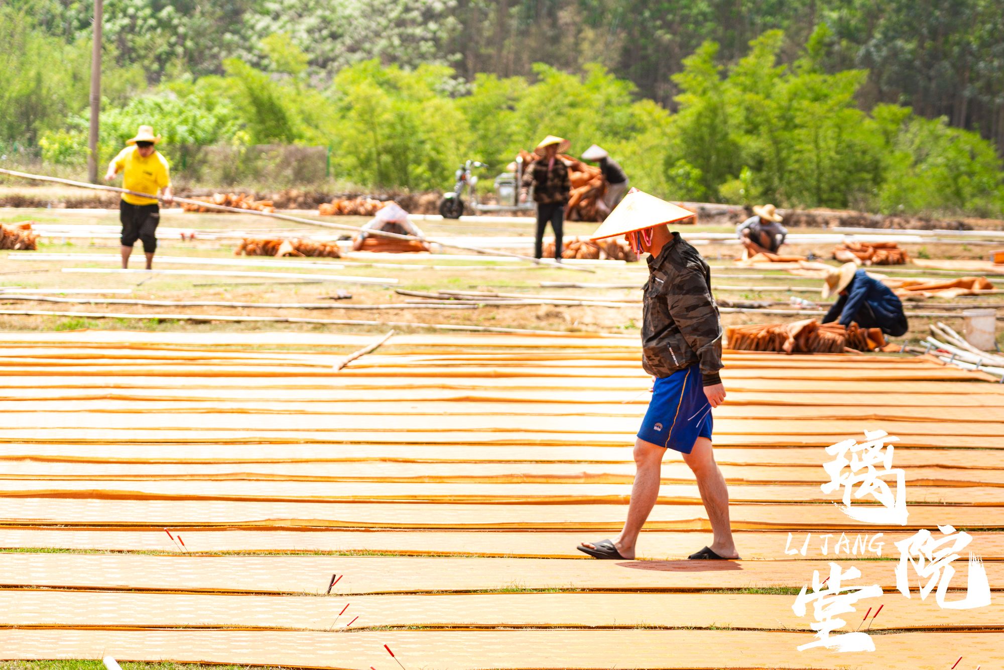 直播链接璃堂院紬丝香云纱下单裁剪不支持七天无理由退货