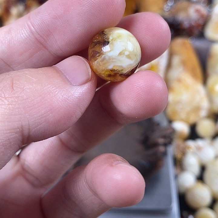裸石琥珀未镶嵌我