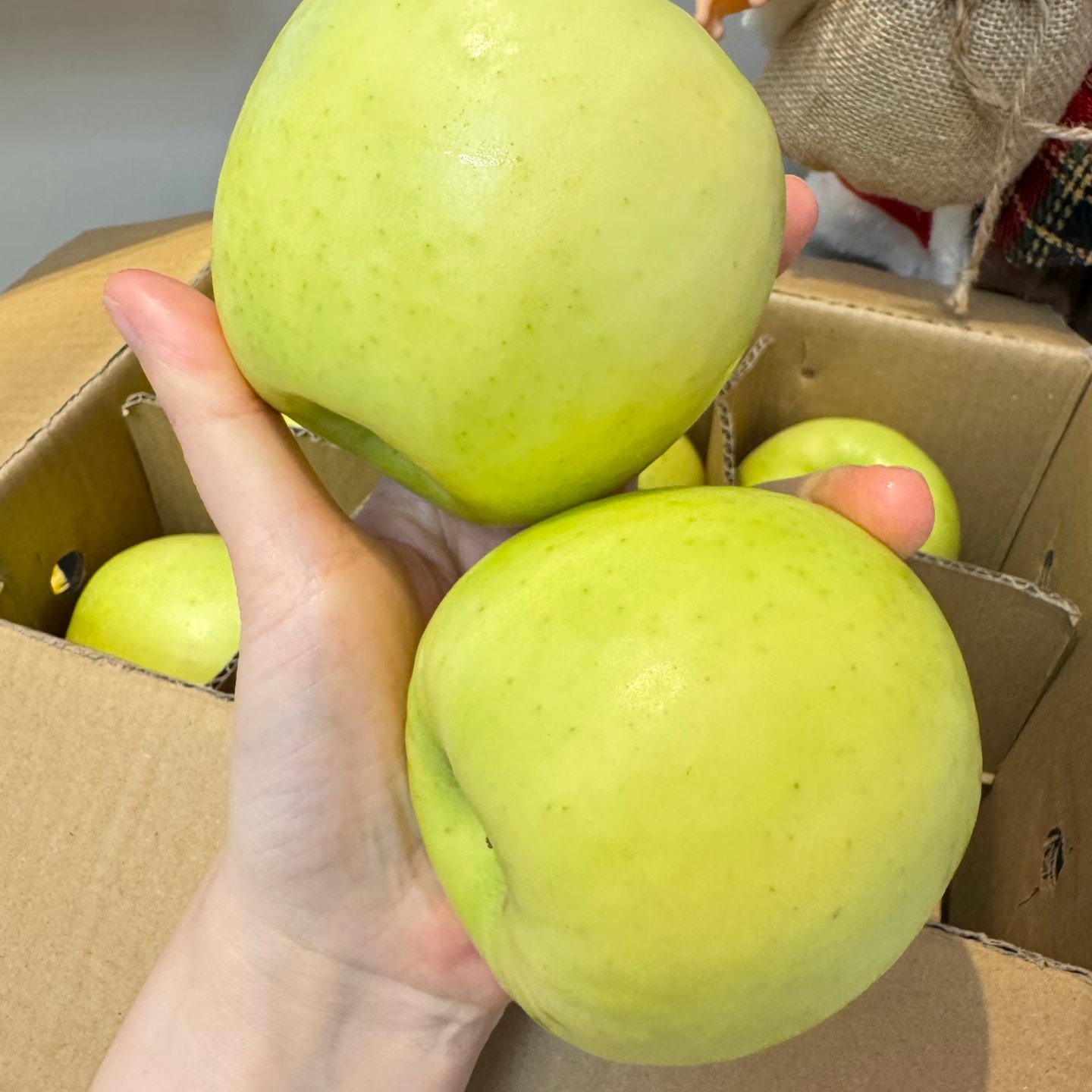 【陕西瑞雪苹果】新鲜应季，纯甜多汁