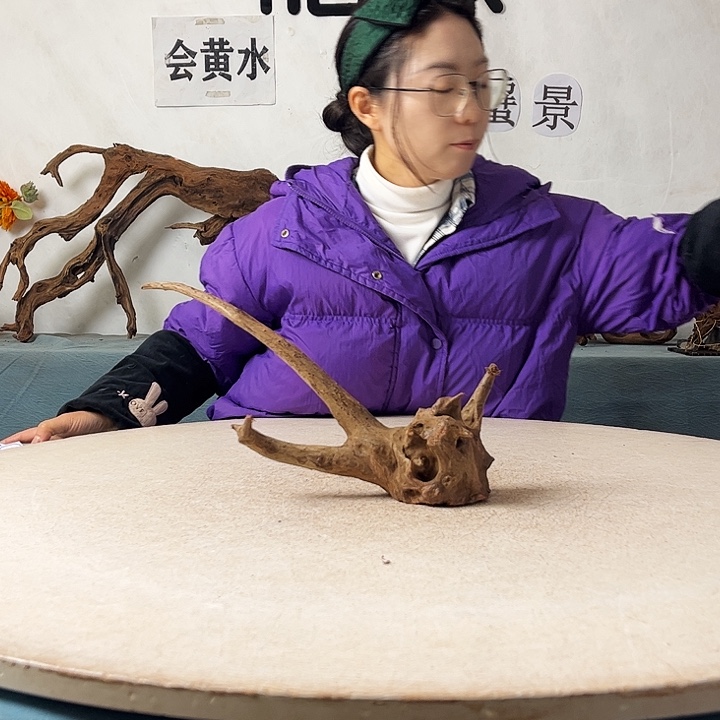 新年快乐沉木造景