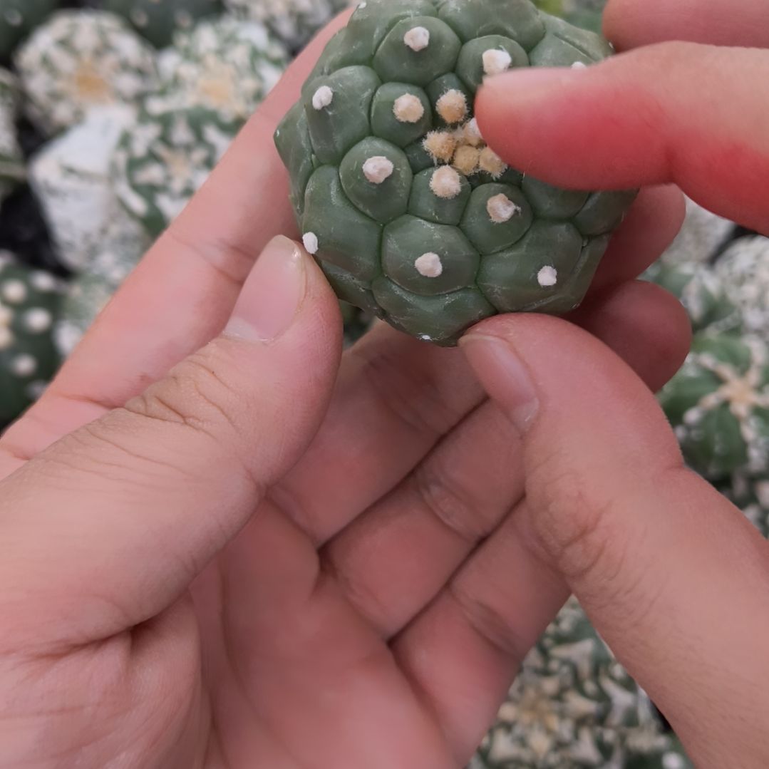 小***瑶哈哈哈哈哈哈哈哈哈