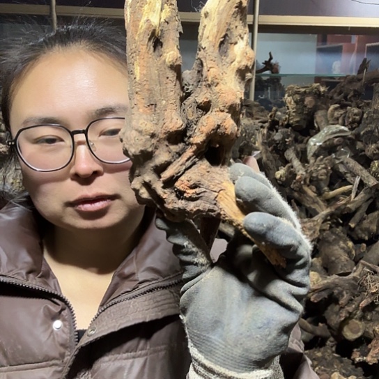 香榧木?****?火琉璃的故事毛料