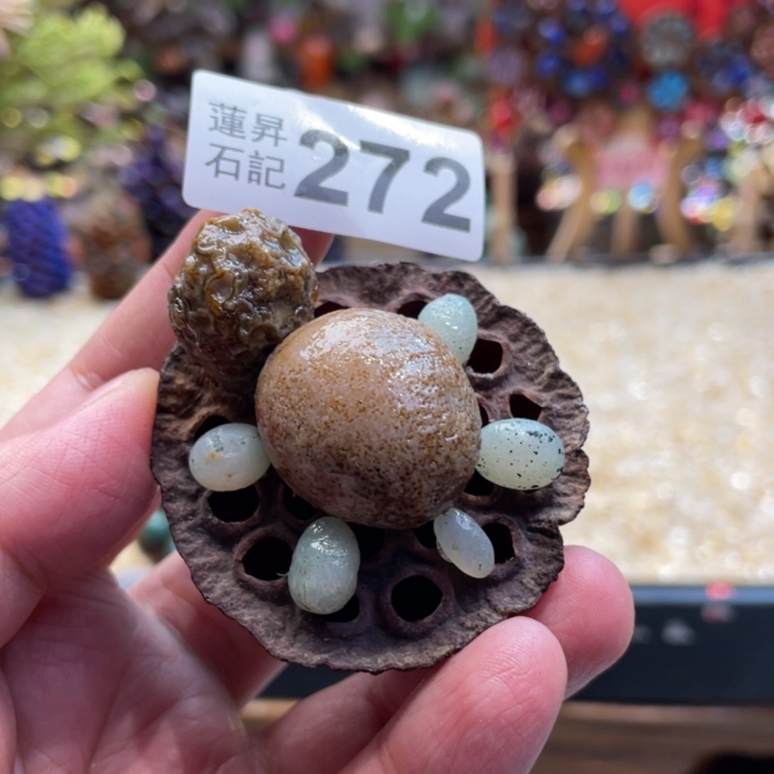 核桃木/黑胡桃（胡桃木）272