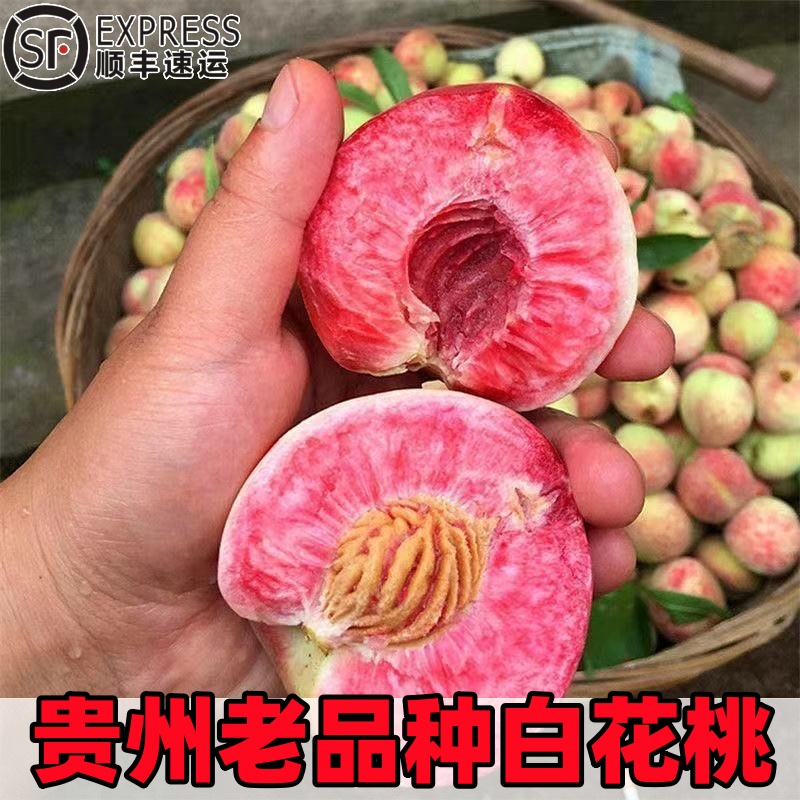 【顺丰包邮】贵州白花桃新鲜现摘结桃血桃百花桃结桃脆桃清甜多汁