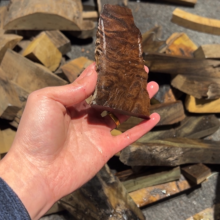 米***奥阴沉木金丝楠阴沉木原材料