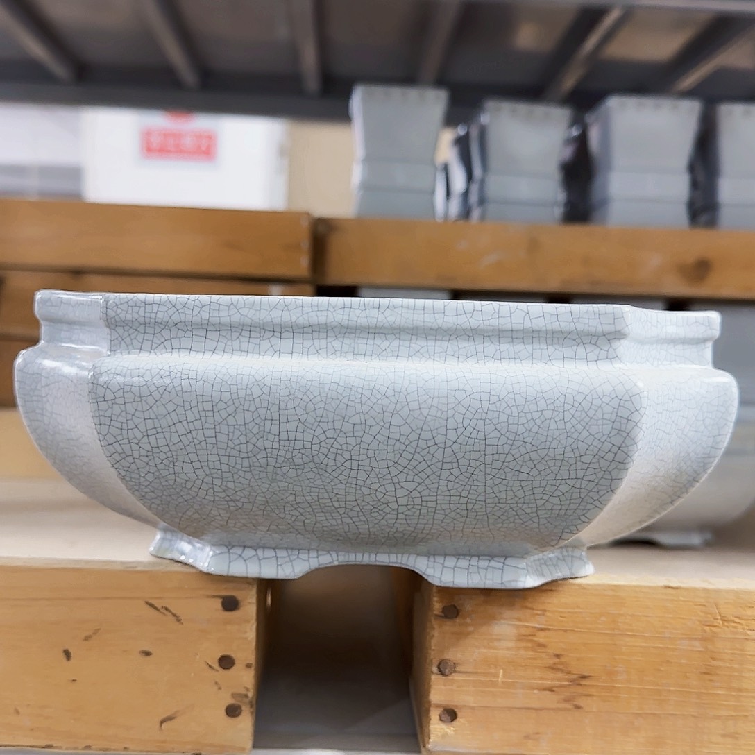 陶瓷花盆特价上新