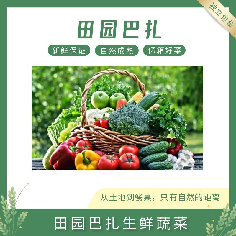 【每日新鲜】田园巴扎紫甘蓝
