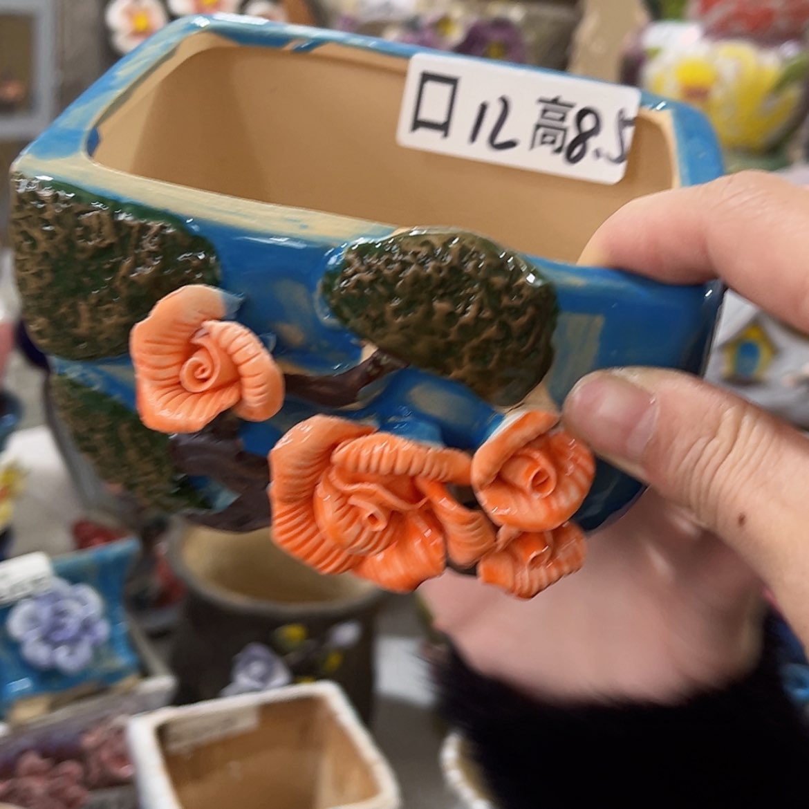 【闪购商品】红陶福利