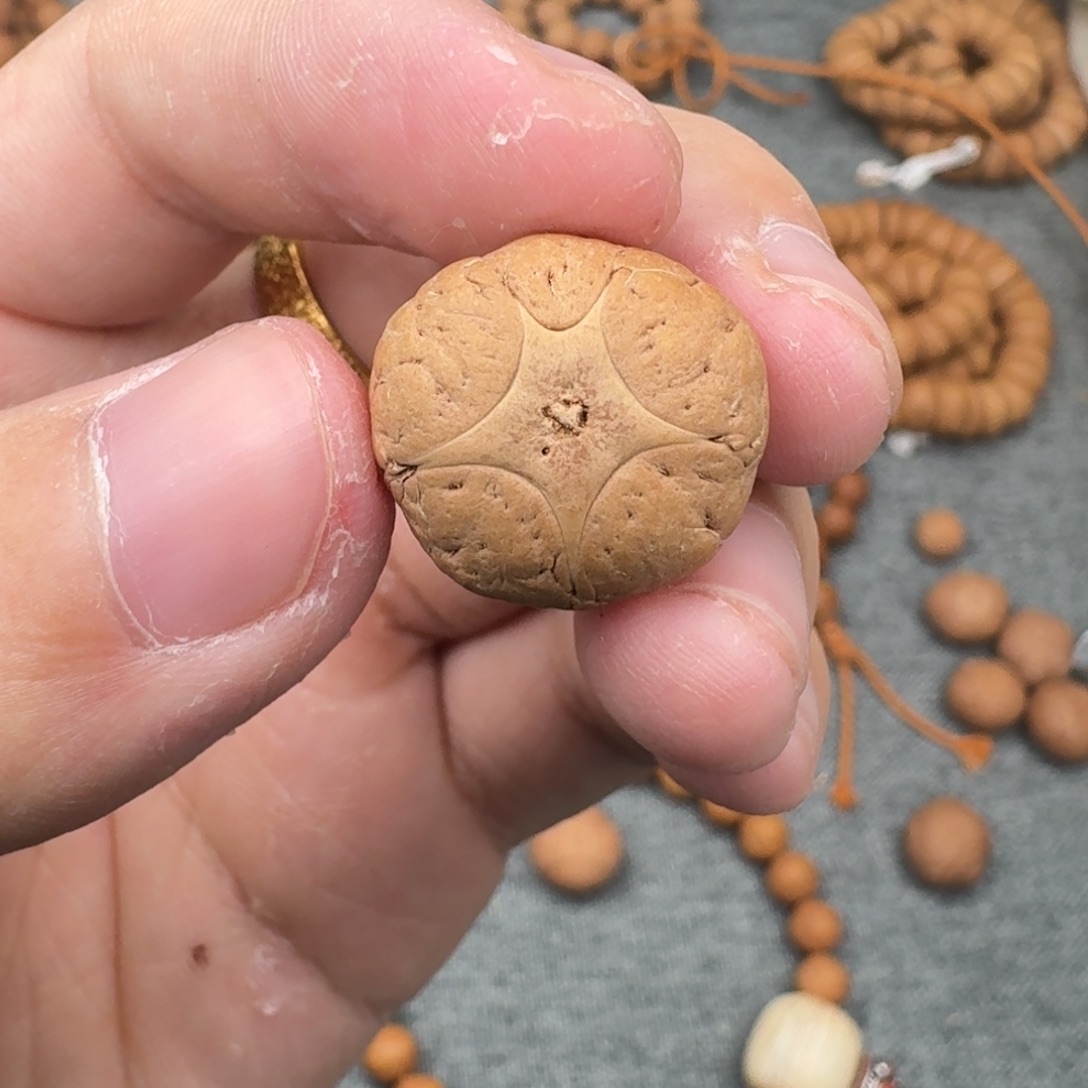 凤眼菩提吊坠19.1/13.9五星二茬