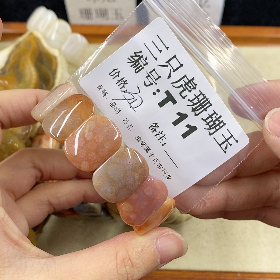 硅化珊瑚（珊瑚玉）1未镶嵌月****)