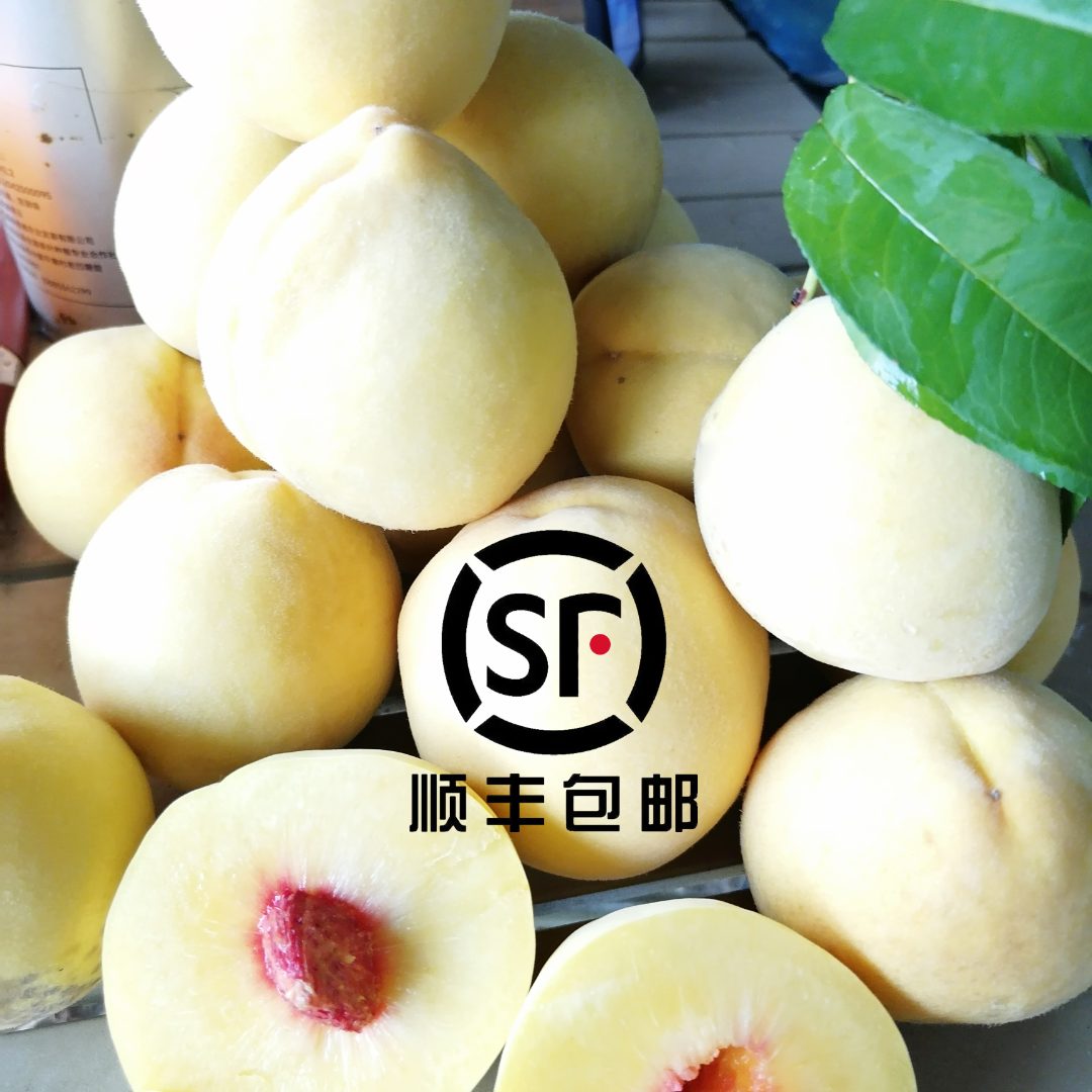 【顺丰包邮】正宗贵州现摘新鲜甜爆汁黄桃当季时令水果