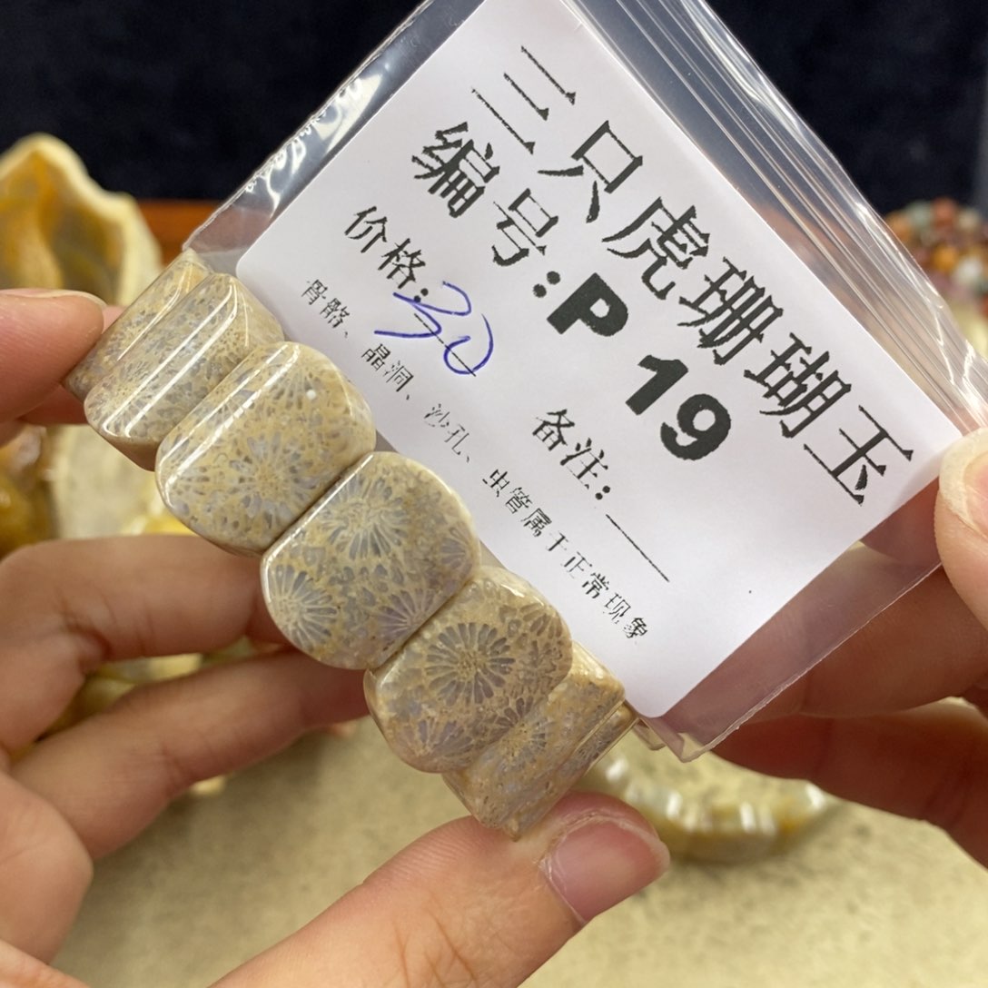 硅化珊瑚（珊瑚玉）1未镶嵌菲*