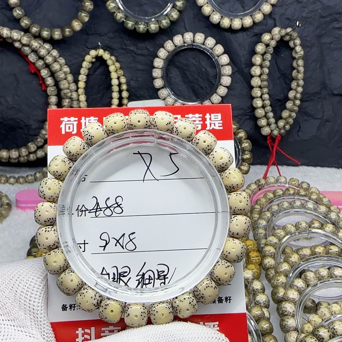海南荷塘星月菩提5
