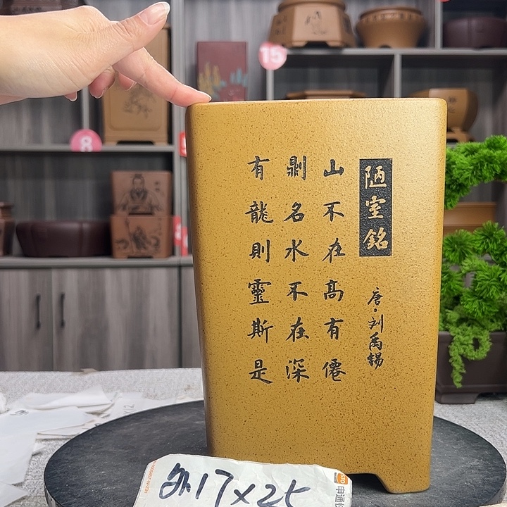 花盆紫砂紫砂第一