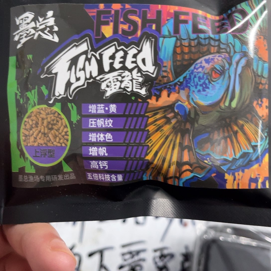 雷龙鱼蓝色五倍的