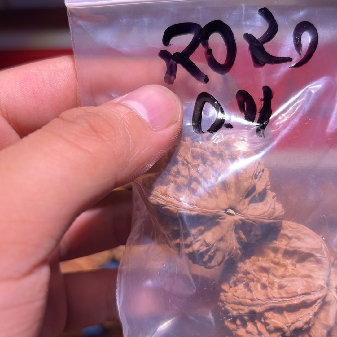 R***O吊坠文玩核桃111111