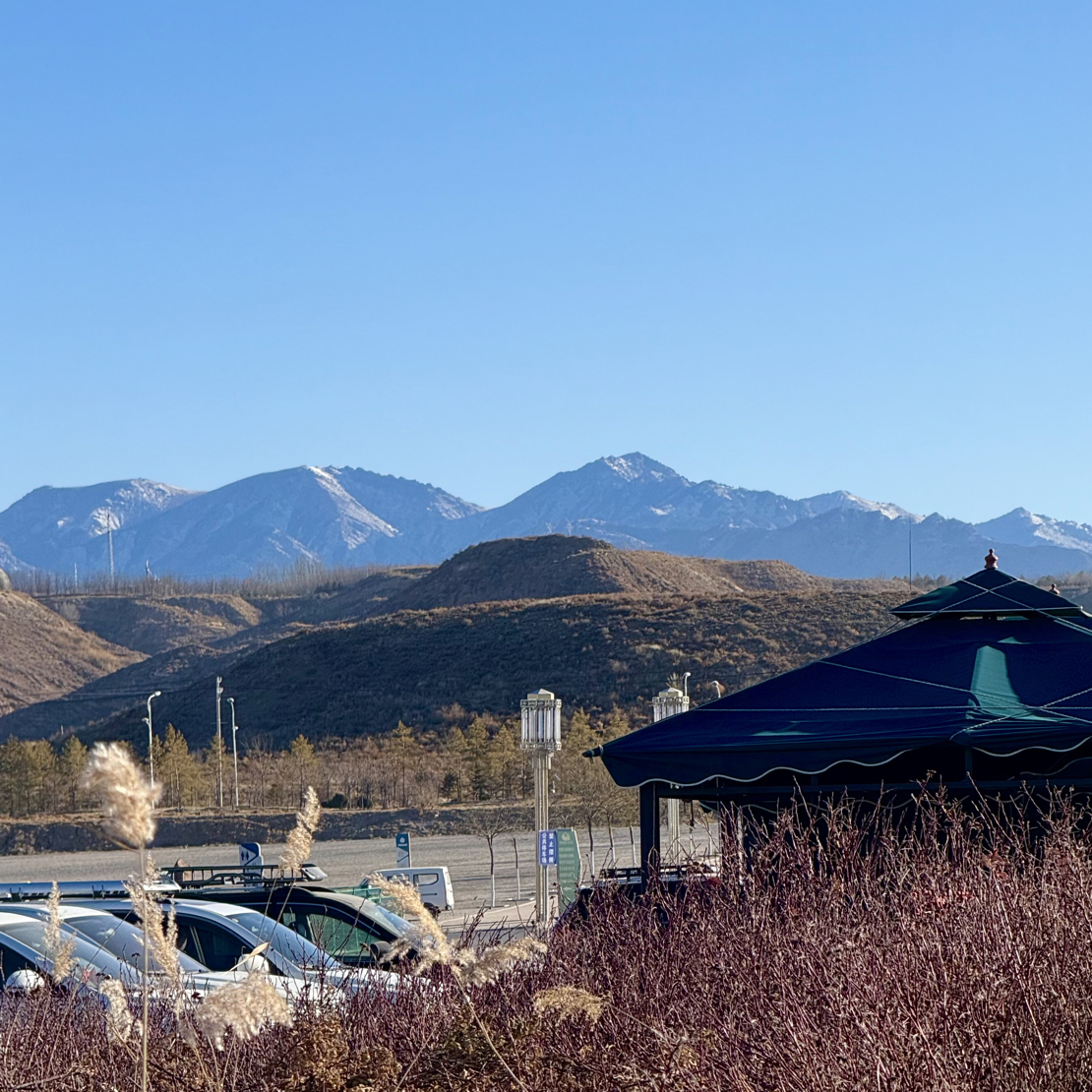 奇石大藏家阿拉善戈壁石象形石奇石