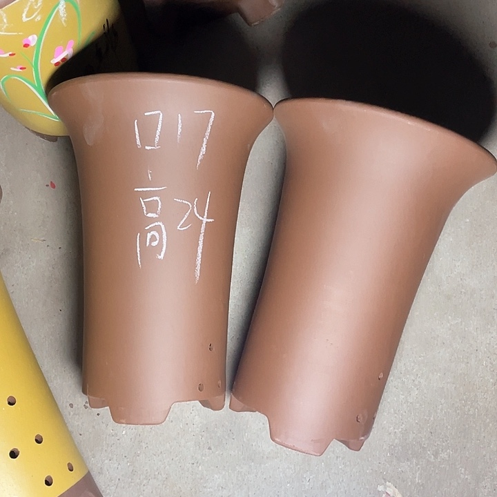 红陶紫砂紫砂紫砂