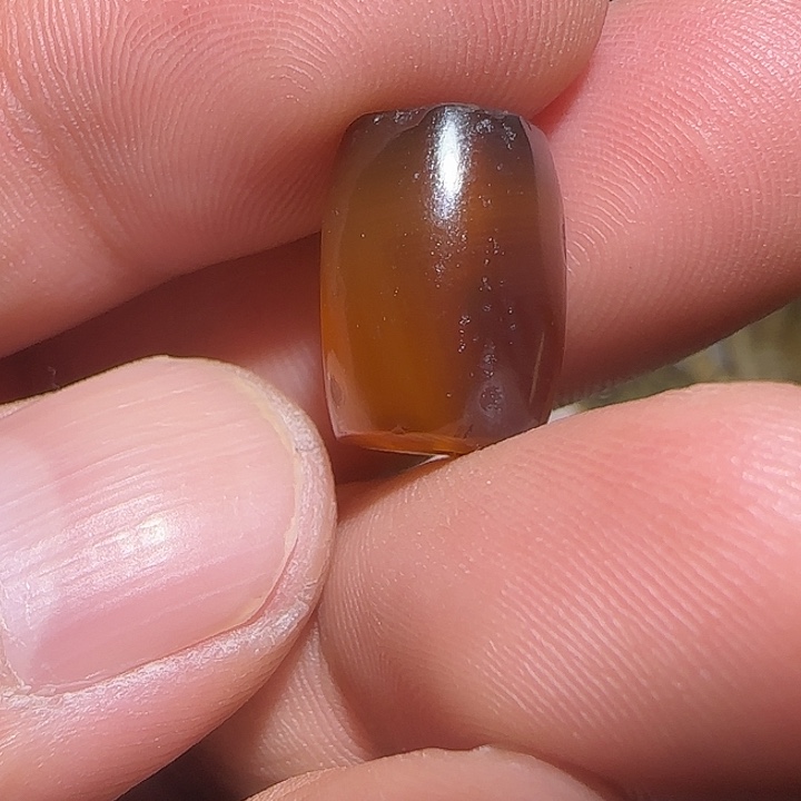 藏区老唐球保老漂亮