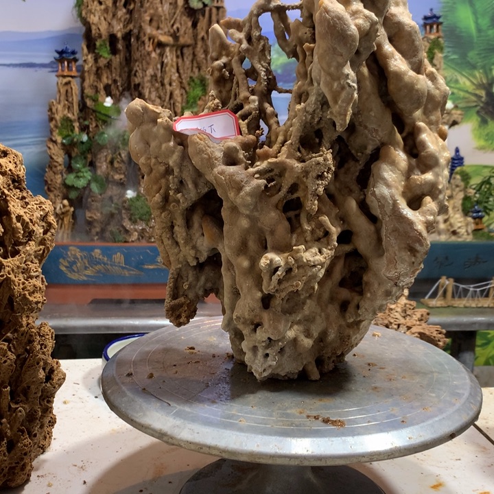 无花朵放*.你好你哈哈哈我