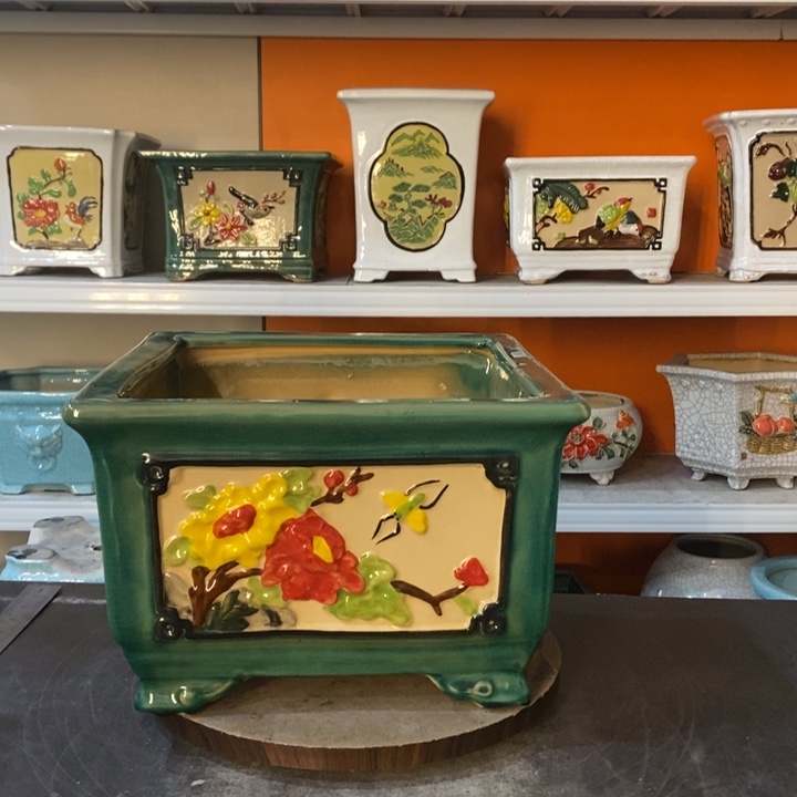 红陶抖**移花盆里的小猫咪