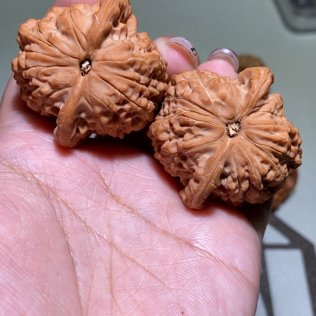 火***水手串/手链核桃血麒麟