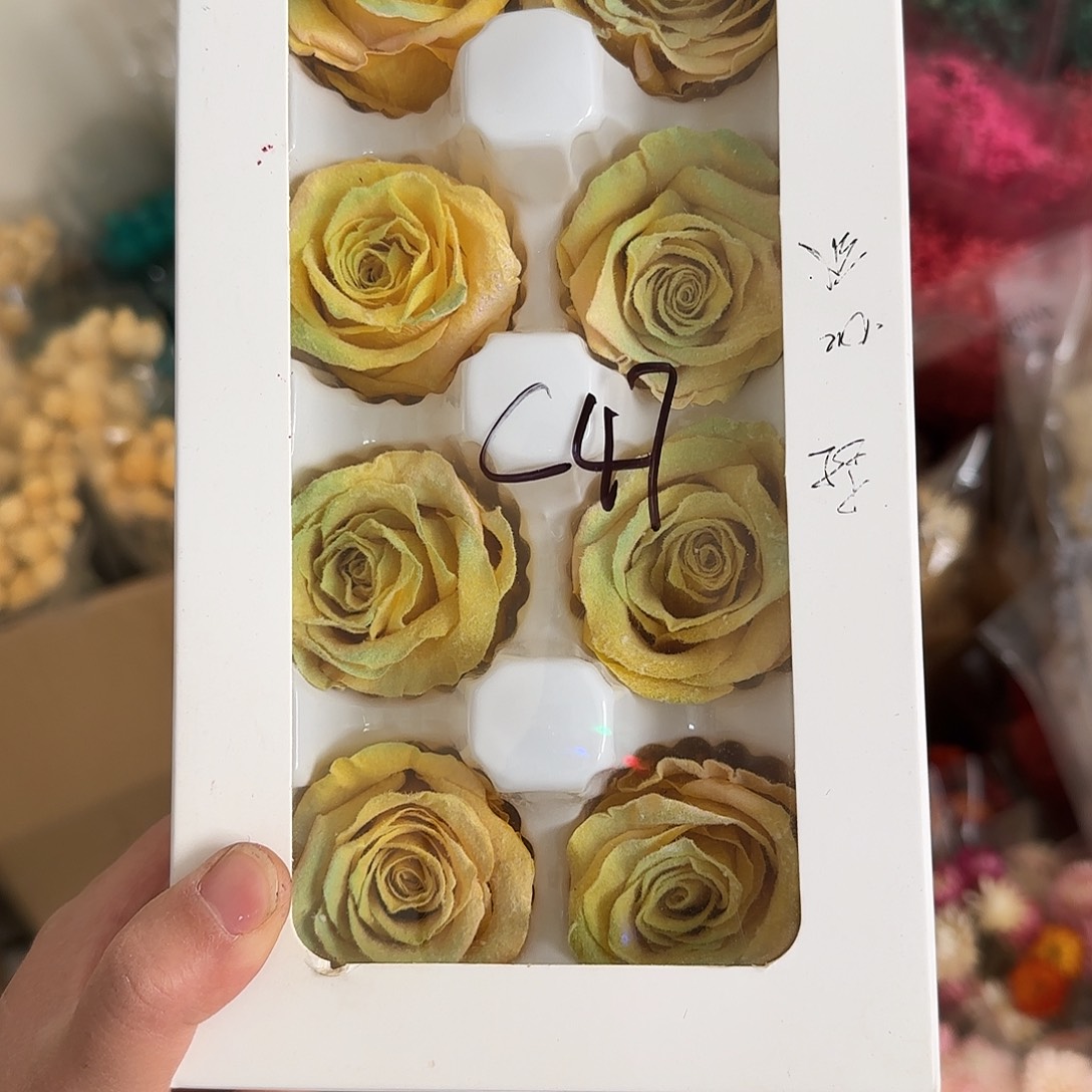 C47号黄色系8多玫瑰