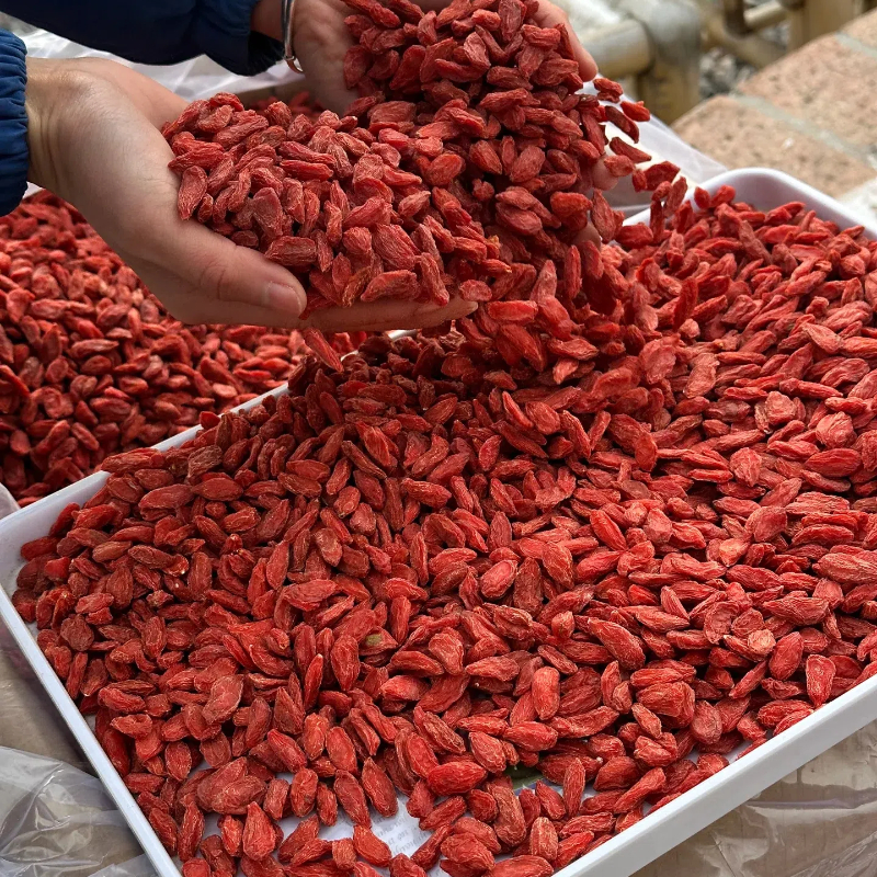 农户自晒宁夏头茬中宁枸杞250g头茬红枸杞泡水泡茶泡酒枸杞子