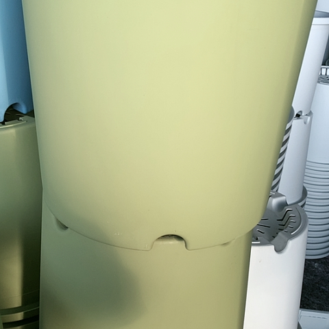 红陶7加果绿无托微瑕3个