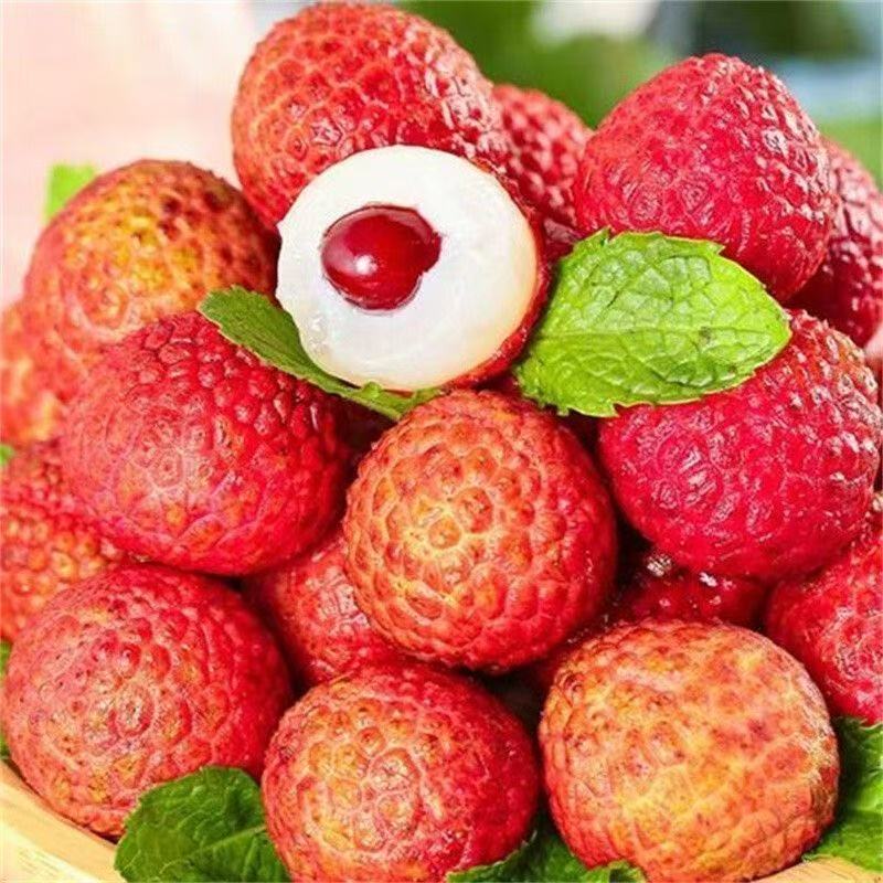 【顺丰京东冷链】广东白糖罂当季现摘新鲜荔枝时令水果