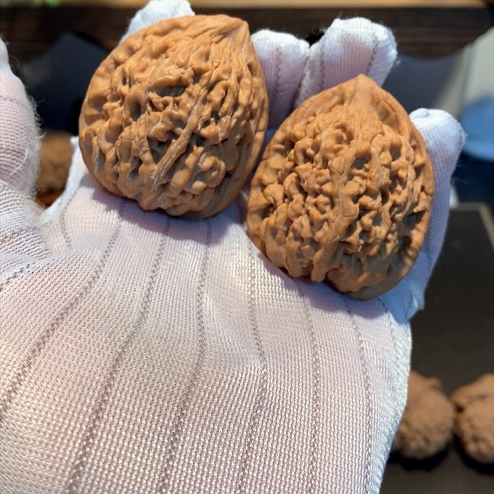 桃核吊坠38尺寸蚂蚁王