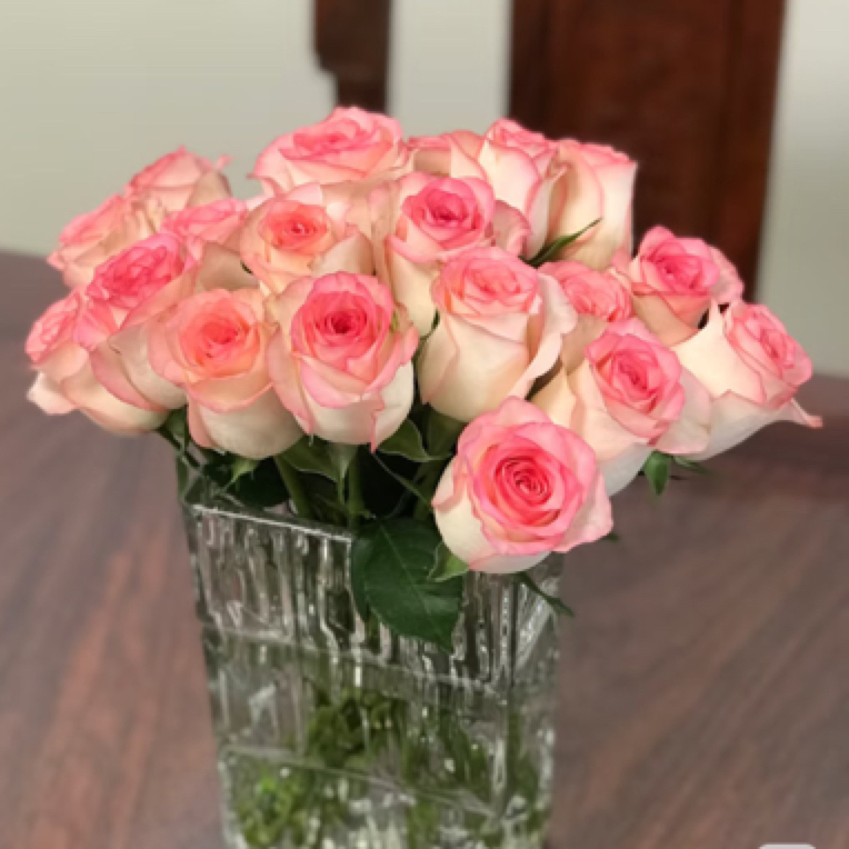 【艾莎+苏菲玫瑰】同地址任意拍2单冷链送货上门