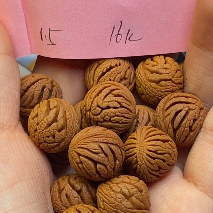 吊坠桃核秦岭龙纹桃核15尺寸