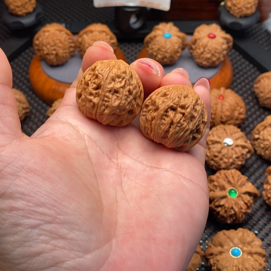 文玩核桃把件野生果龙珠手捻33边34肚32高
