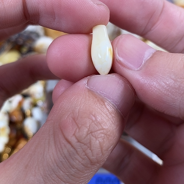 琥珀未镶嵌裸石我